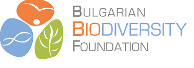 BBF logo