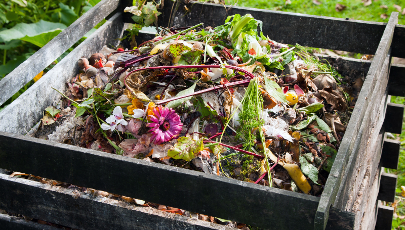 Composting or not composting, that is the question